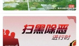 最新返场爆料新闻视频播放,揭秘幕后故事