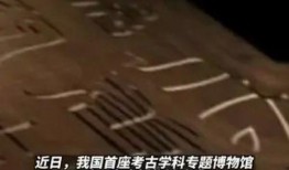 最新社会百态爆料新闻报道,最新爆料揭示现实众生相